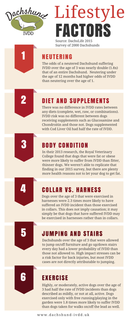 supplements for canine ivdd