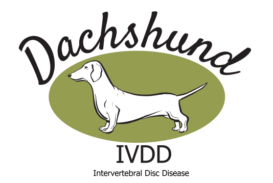 www.dachshund-ivdd.uk